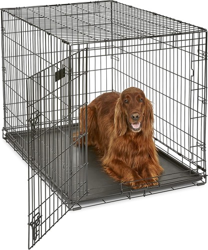 Large single door dog - dog, crate