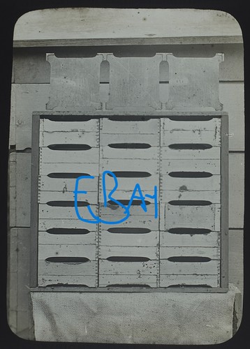 Beekeeping photo crate - beekeeping,
