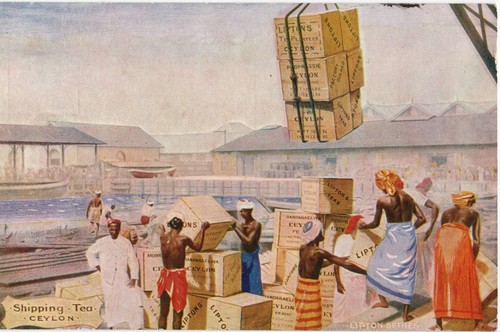 Antique ceylon shipping tea - antique,
