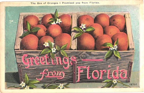 Florida greetings crate - crate, of