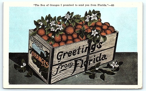 Vintage florida orange crate - vintage,